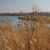 Lacul Fundeni