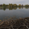 lac in Parcul Tineretului
