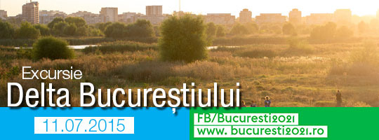 Delta Bucuresti vara