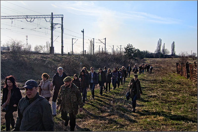 serban_vornicu_insula_01