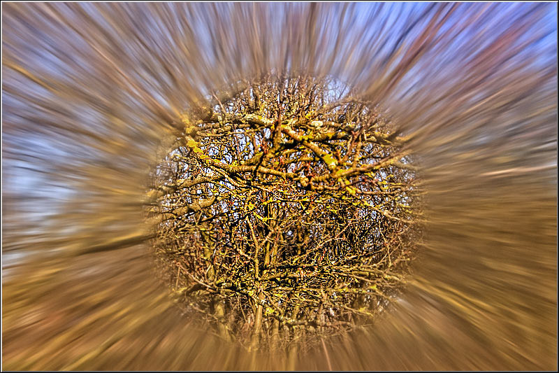 serban_vornicu_insula_05