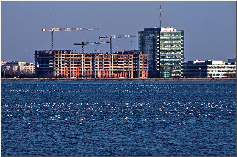 serban_vornicu_insula_08