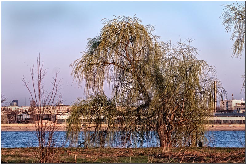 serban_vornicu_insula_17