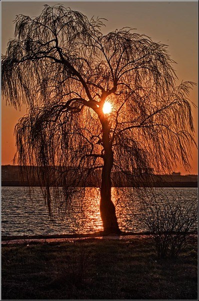 serban_vornicu_insula_19