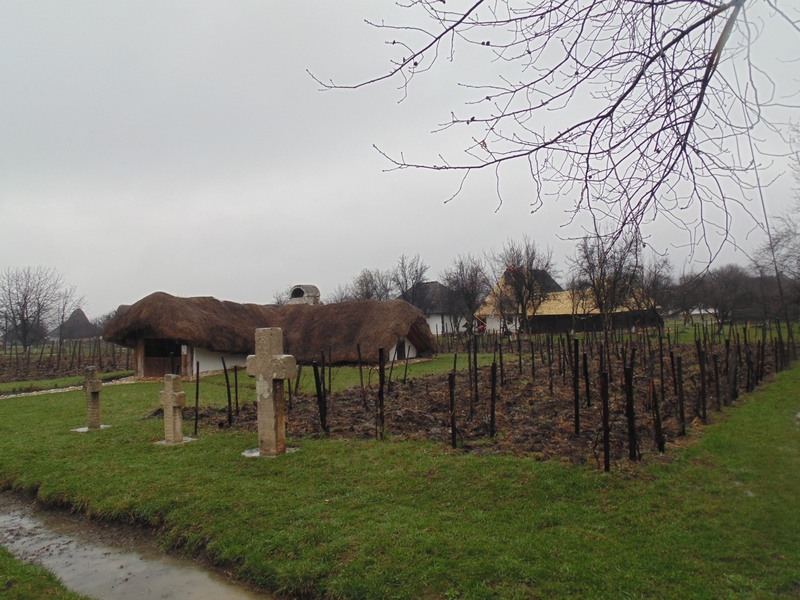 pe-domeniul-muzeului-golesti-9