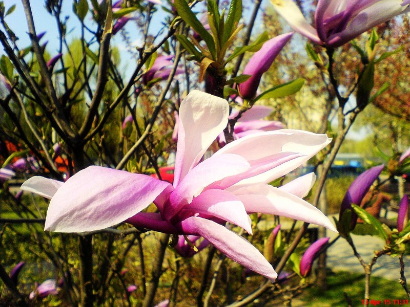 11060911_809554989129110_8864479791504399304_o