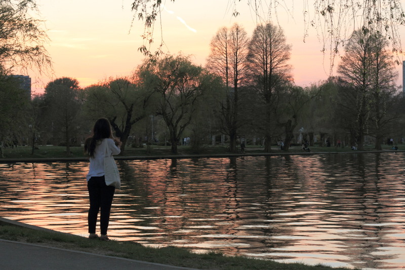 Fotografiem inserarea...