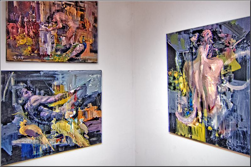 serban_vornicu_noapteagaleriilor_08