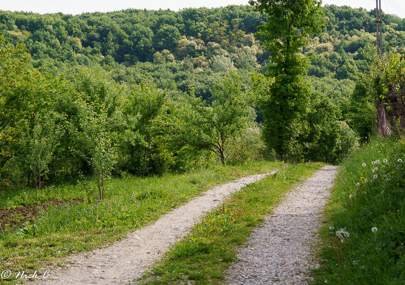 Drumul spre Piramide