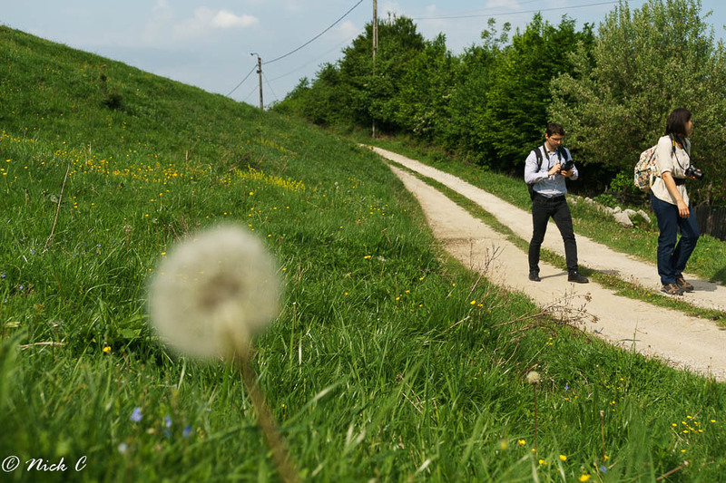 Pe drumul spre Piramide