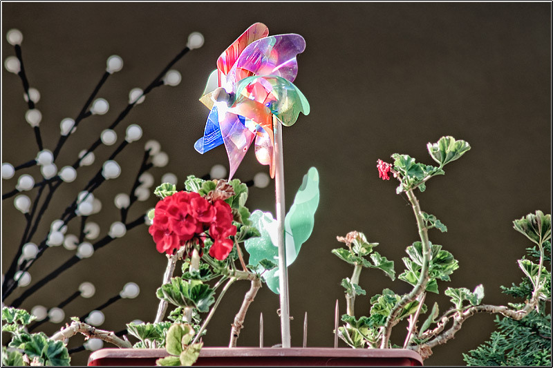 serban_vornicu_dintitanincavafi_08