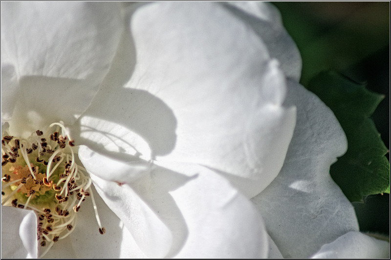 serban_vornicu_dintitanincavafi_09