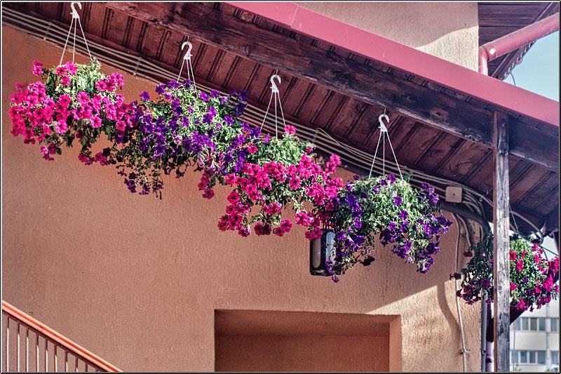 serban_vornicu_dintitanincavafi_13