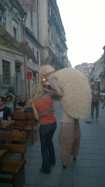 wp_20150605_20_47_21_pro