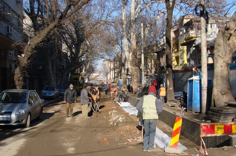 dsc01565_berzei-11122010