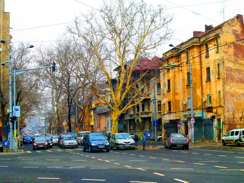 sam_1360_berzei-2014