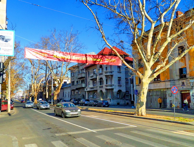 sam_1611_berzei-13012014