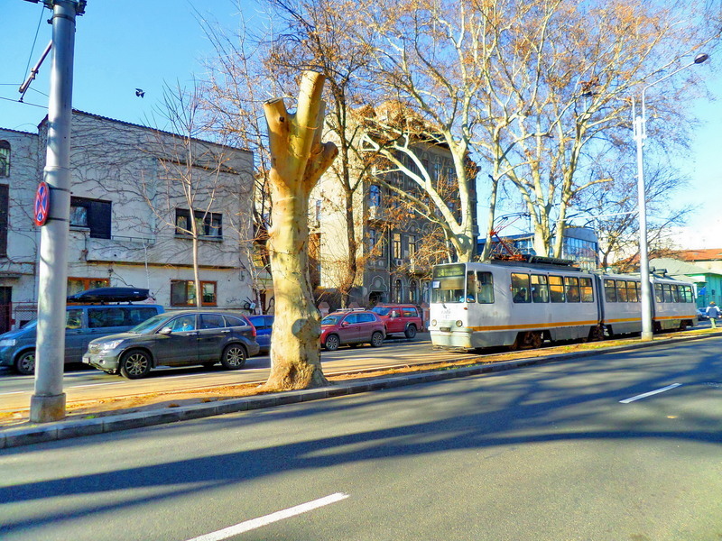 sam_1644_berzei-13012014