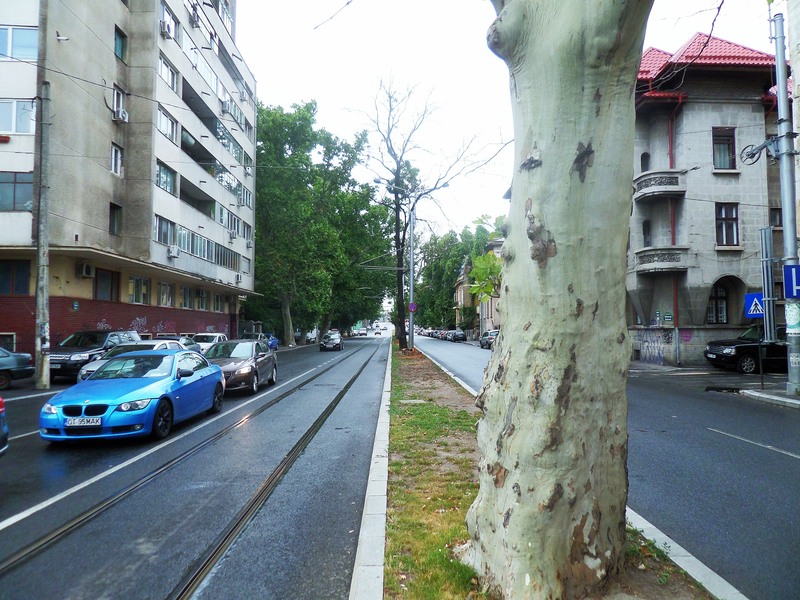 sam_3157-2_berzei-17062015