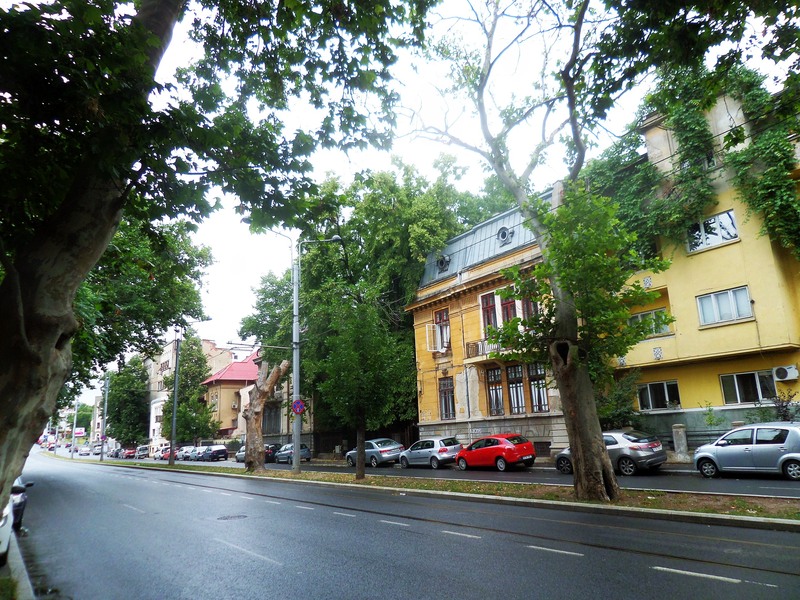 sam_3161-2_berzei-17062015