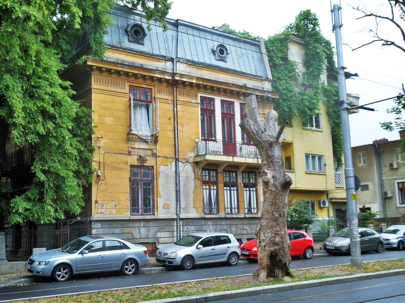 sam_3162-2_berzei-17062015