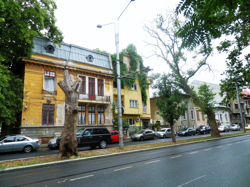 sam_3165-2_berzei-17062015