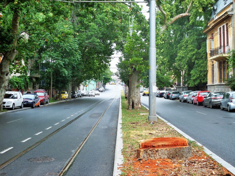 sam_3168-2_berzei-17062015