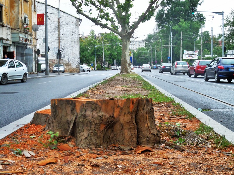 sam_3171-2_berzei-17062015