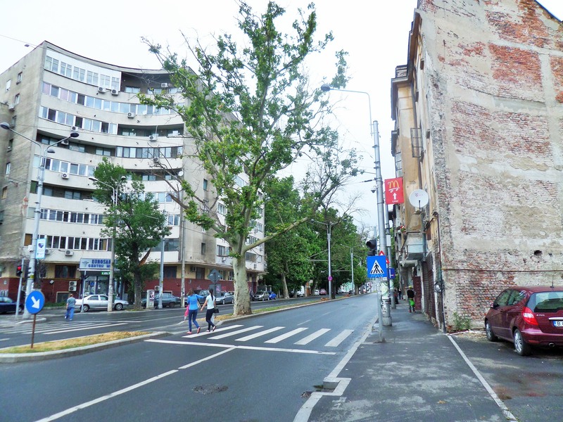 sam_3174-2_berzei-17062015