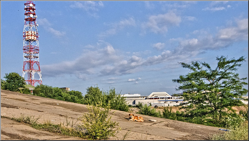 serban_vornicu_delta_b_01