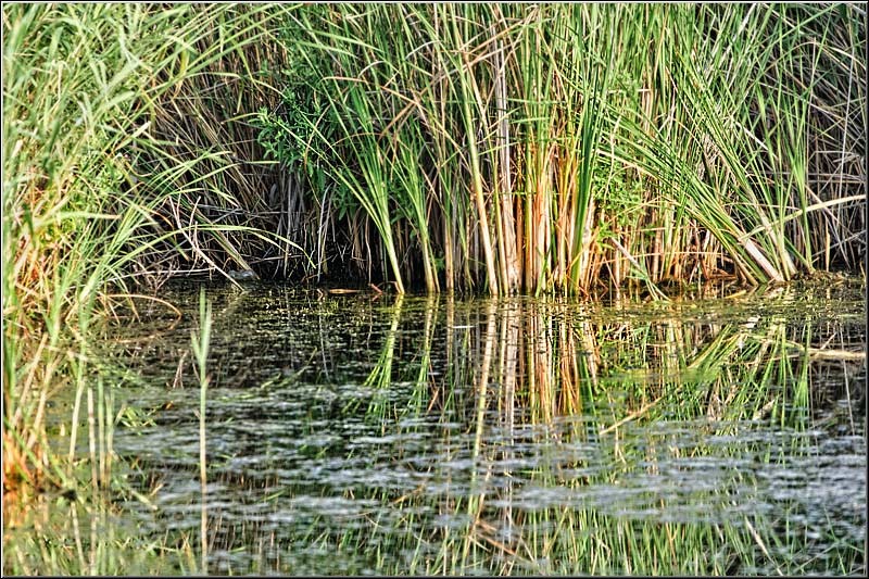 serban_vornicu_delta_b_07