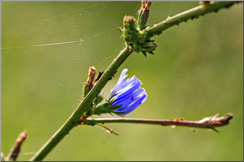 serban_vornicu_delta_b_10