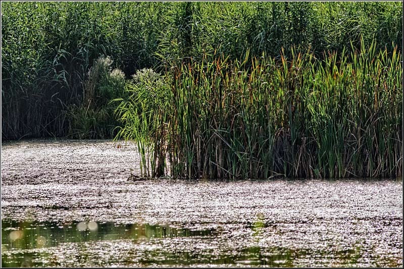 serban_vornicu_delta_b_11