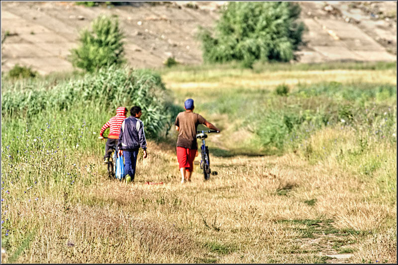 serban_vornicu_delta_b_13