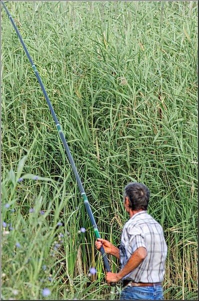 serban_vornicu_delta_b_19