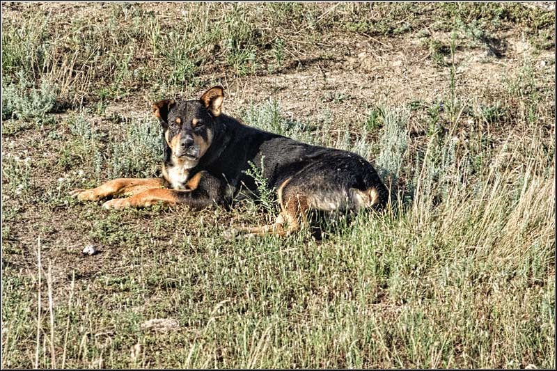 serban_vornicu_delta_b_26