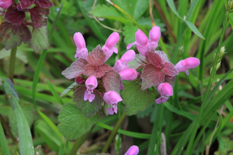 2010_04_24_pb_00003477