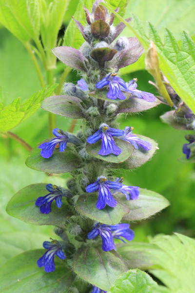 2010_04_24_pb_00003602