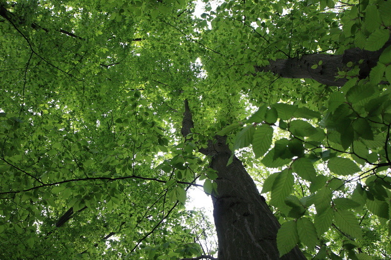 2010_04_24_pb_00003647