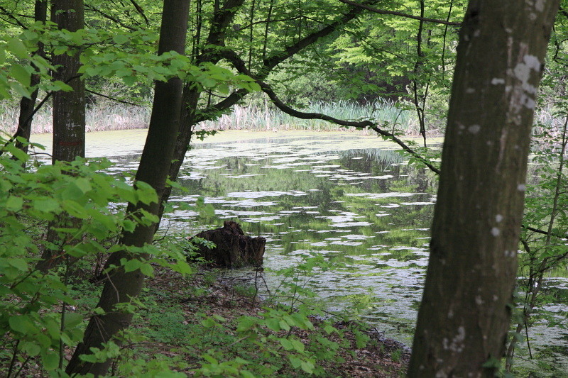 2010_04_24_pb_00003681