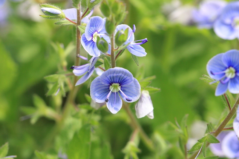 2010_04_24_pb_00003708