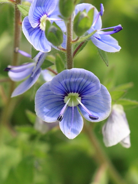 2010_04_24_pb_00003709