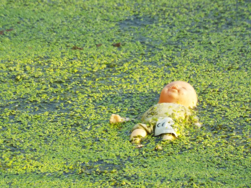 picsart_1436720093052