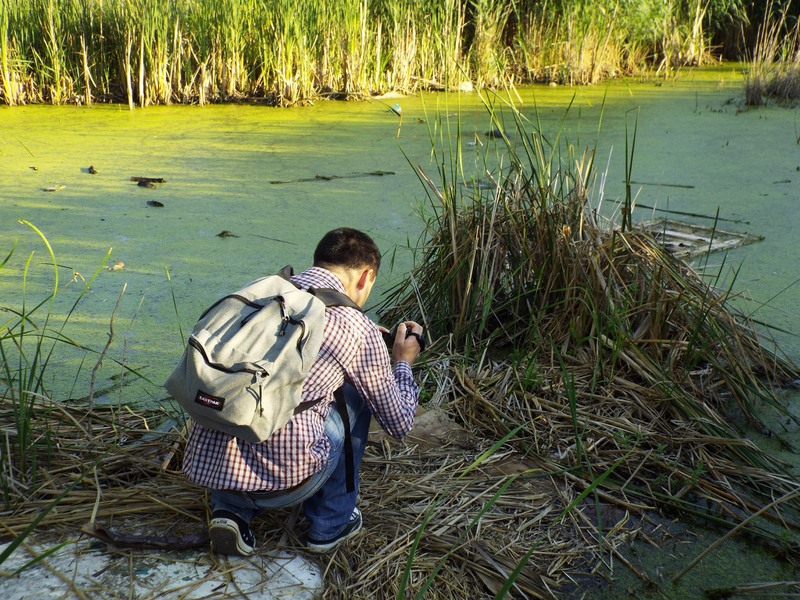 picsart_1436720153614