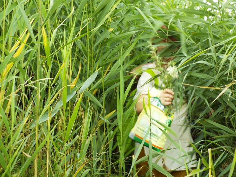 picsart_1436720225523