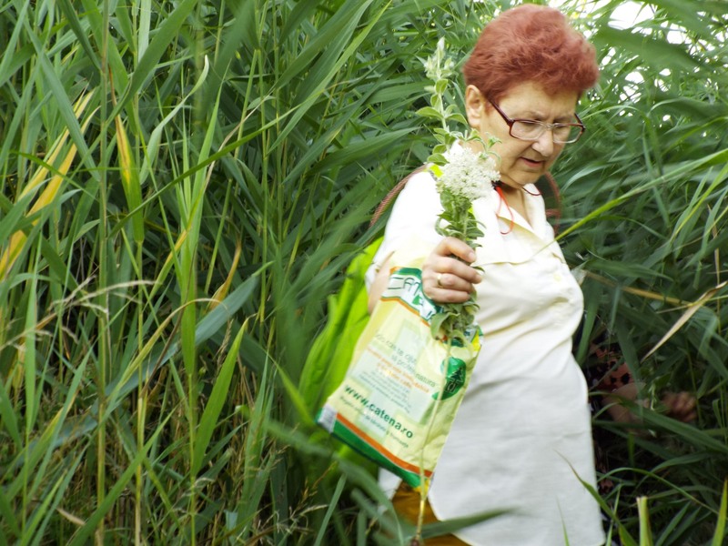 picsart_1436720295277