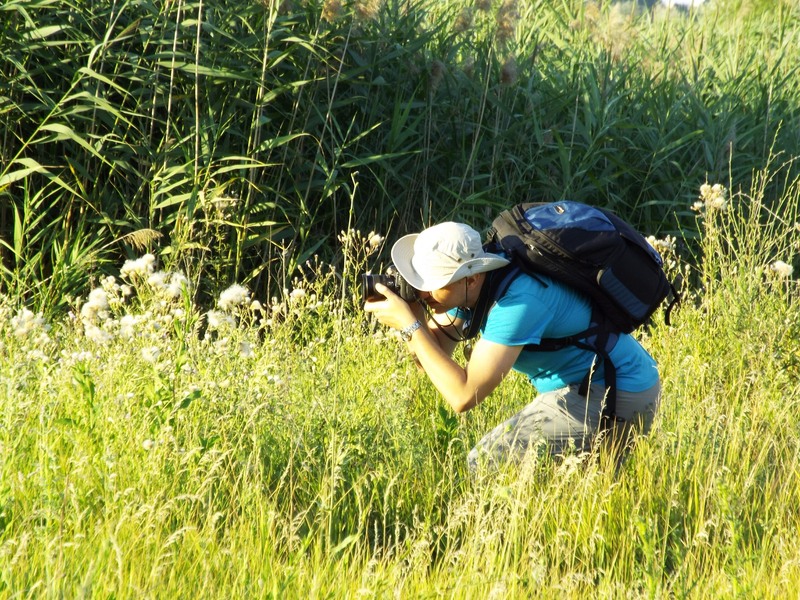 picsart_1436720344948