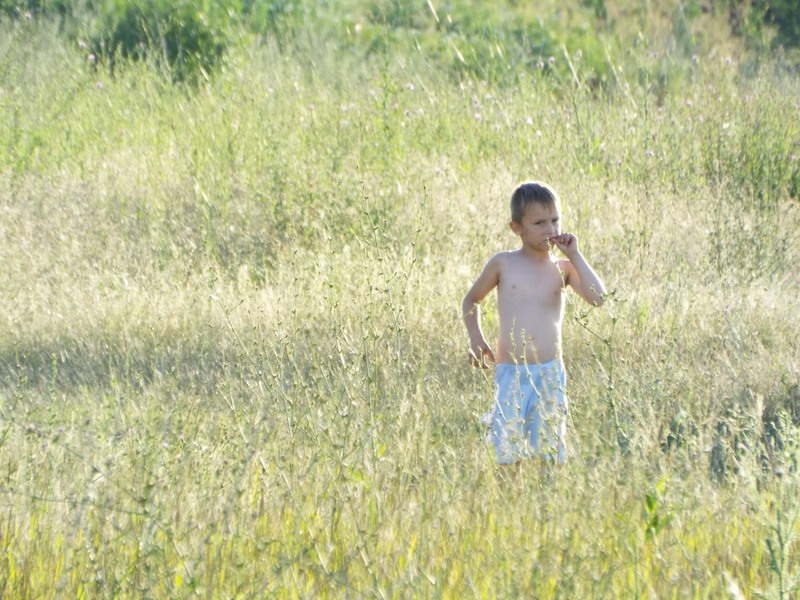 picsart_1436720531949