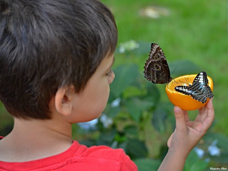 11145084_994829900556678_4332213883000996691_o