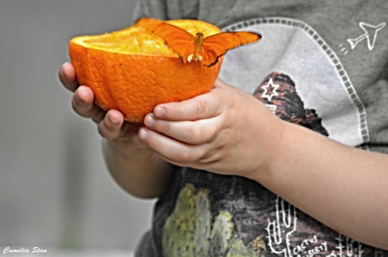 11703554_998545850185083_2122055166775452668_o